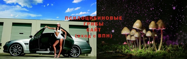 прущие крисы Абдулино