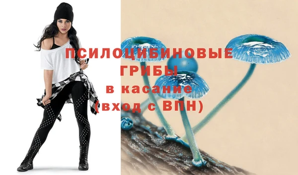 прущие крисы Абдулино