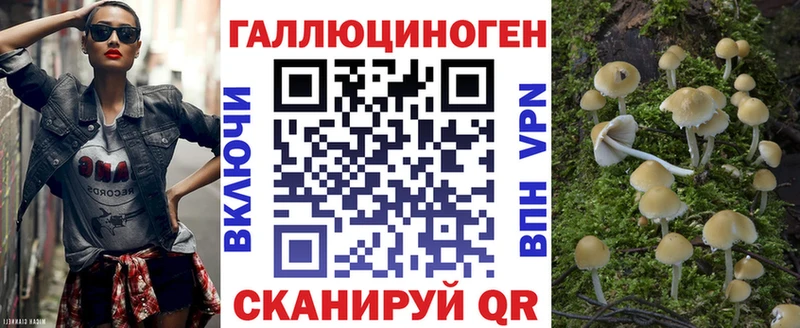 наркота  Алатырь  Псилоцибиновые грибы прущие грибы 